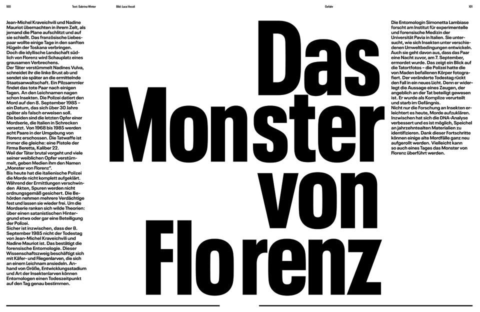 Das Monster von Florenz