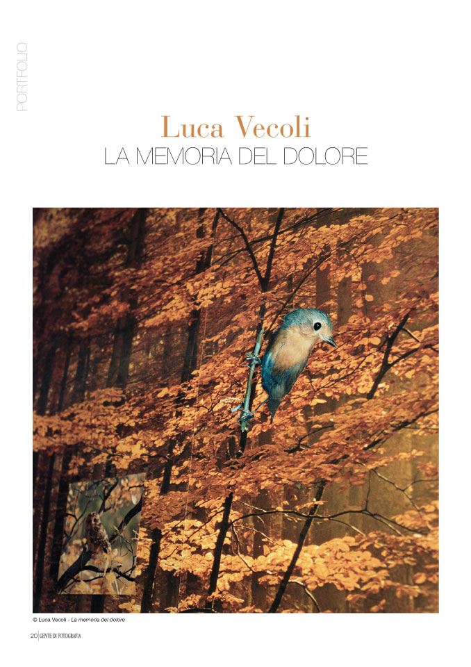 Luca Vecoli. La memoria del dolore